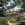 Le Delta - Parc Floral de Paris 06