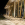 Center Parcs, Le Bois aux Daims, Terrace 01
