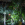 Center Parcs, Le Bois aux Daims, Serre 01