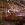 Center Parcs, Le Bois aux Daims, Buffet 01