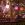 Center Parcs, Le Bois aux Daims, Buffet 02