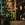 Center Parcs, Le Bois aux Daims, Cocoon Café 04