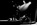 The Duchess of Malfi, Hwyl y Fflag, Welsh Tour 1989 04