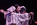 T'Ammore / Belcanto, New York City Center 03